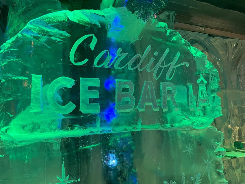 NEW for 2021 City Hall lawn - Ice Bar!